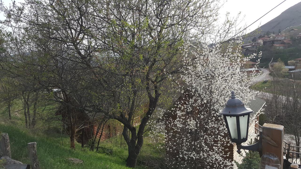 Hotel Vegke Kutuk Evleri Seben Exteriér fotografie